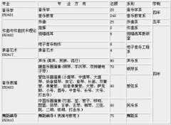 西安音乐学院2012年外省本科招生简章