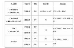 沈阳大学2018年艺术类招生简章（黑龙江省） 